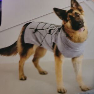 HYDE AND EEK  SPIDERWEB SWEATER M NWT